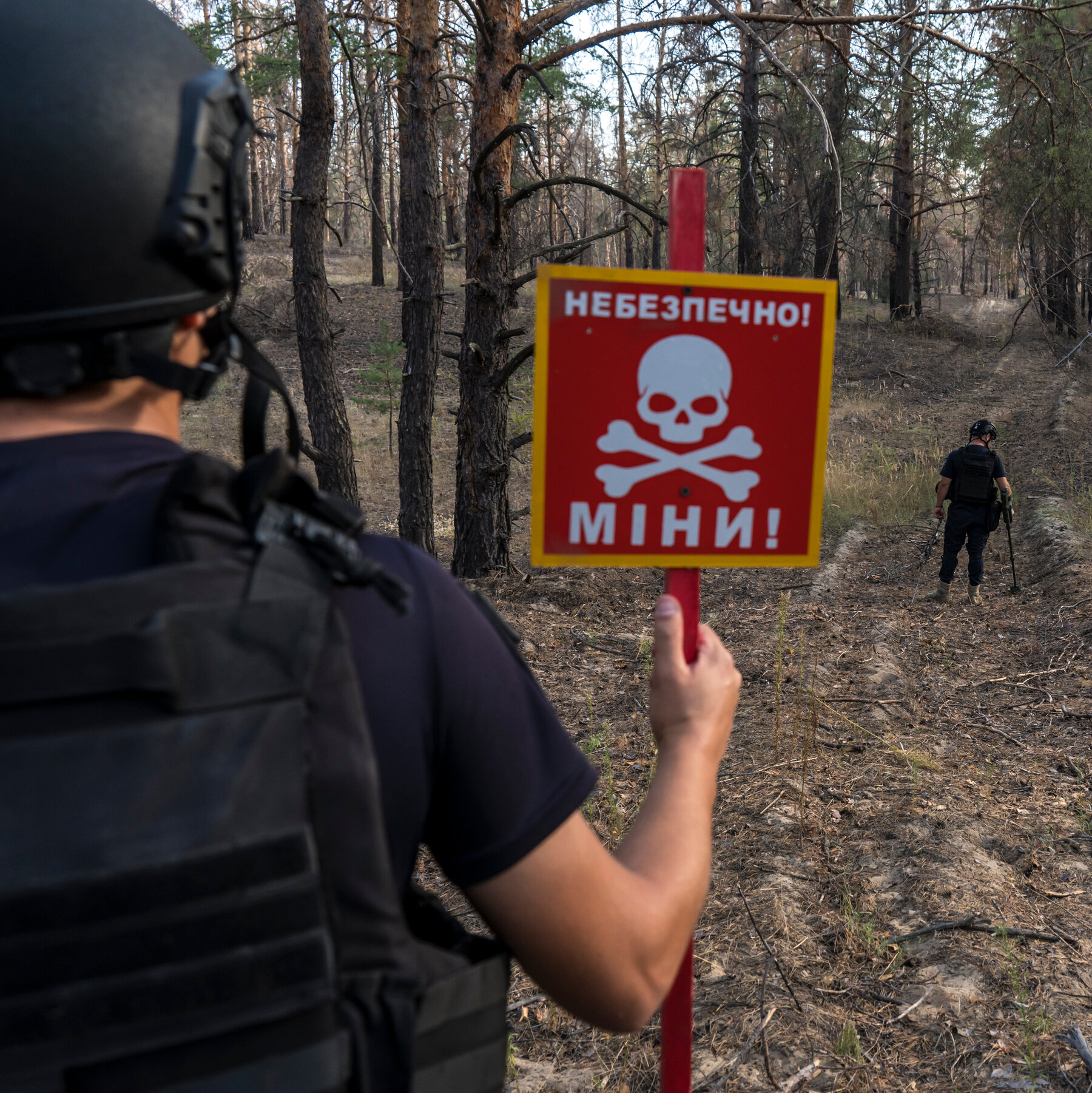 What Are Anti-Personnel Mines?