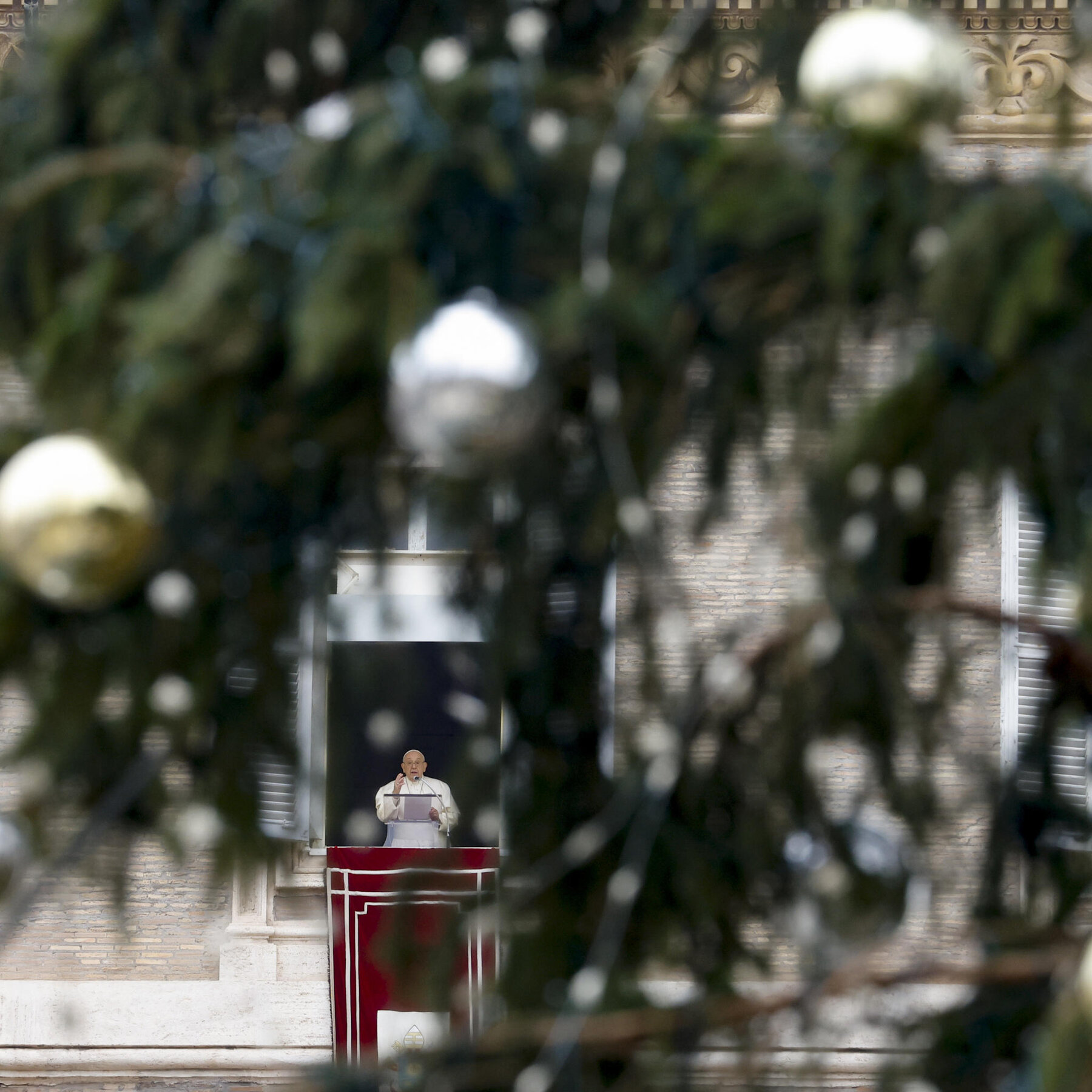 Pope Francis Wants to Save the Environment. He Can Start With a Tree.