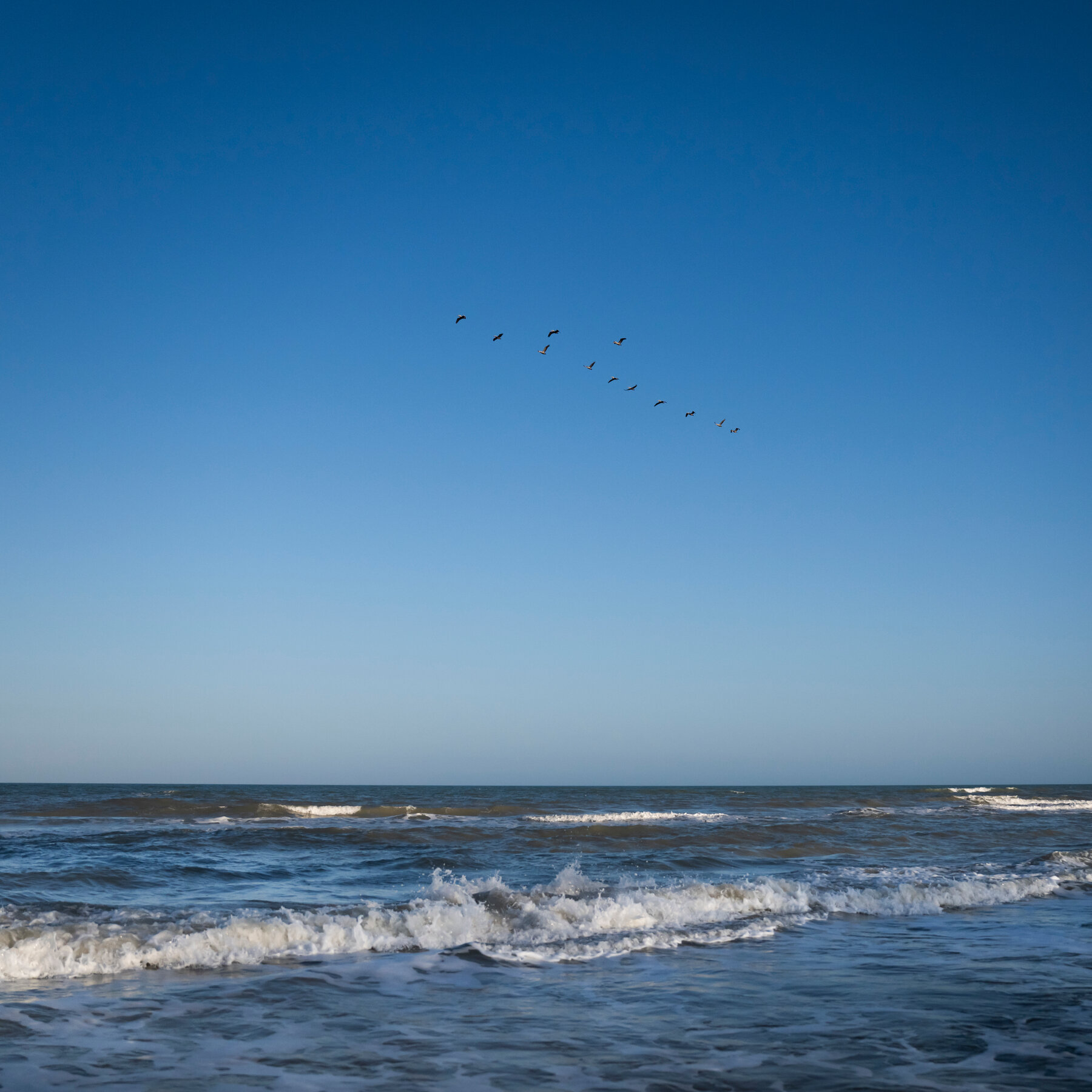 Gulf of Mexico? Gulf of America? What’s in a Name, Anyway?