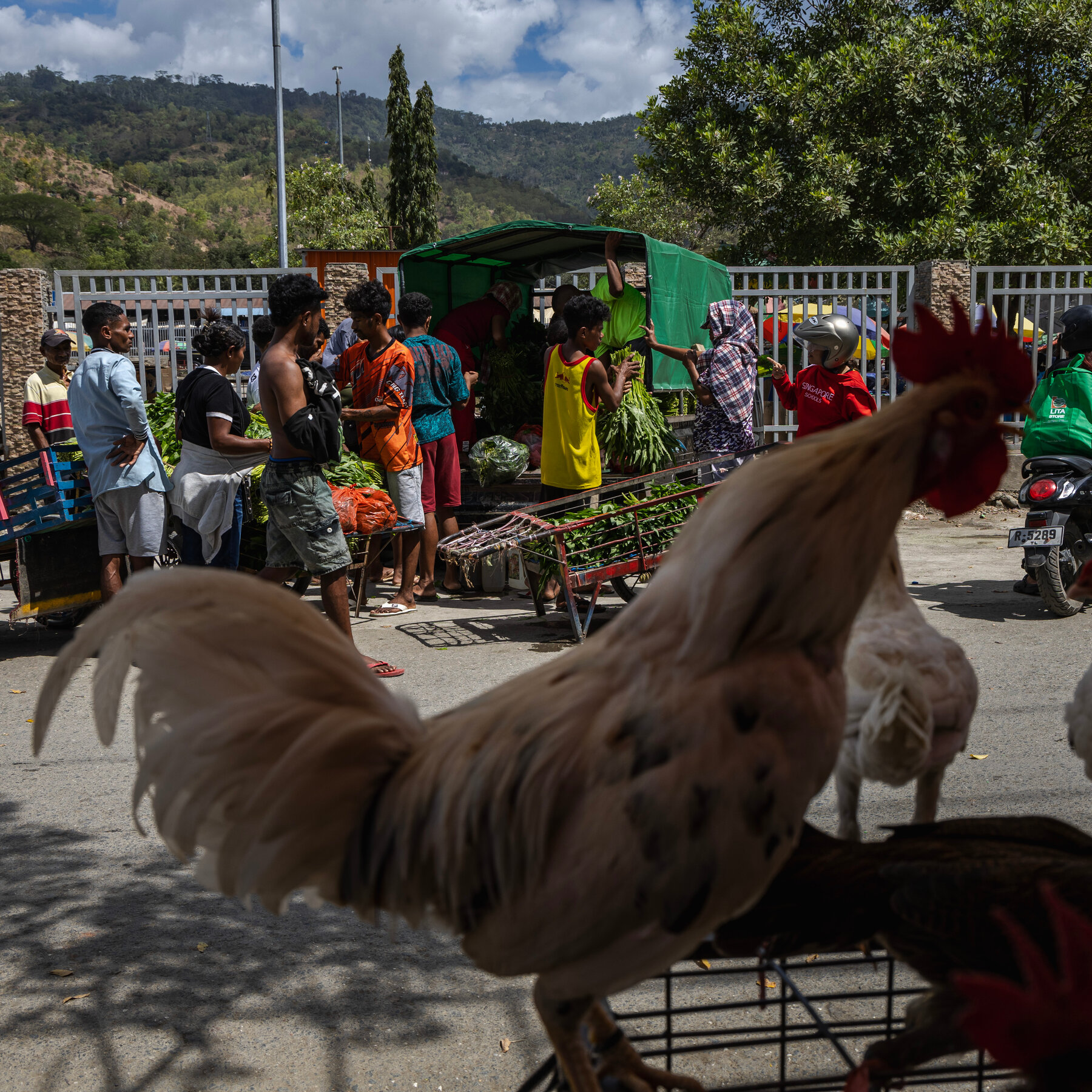 East Timor’s Challenges Two Decades After Independence